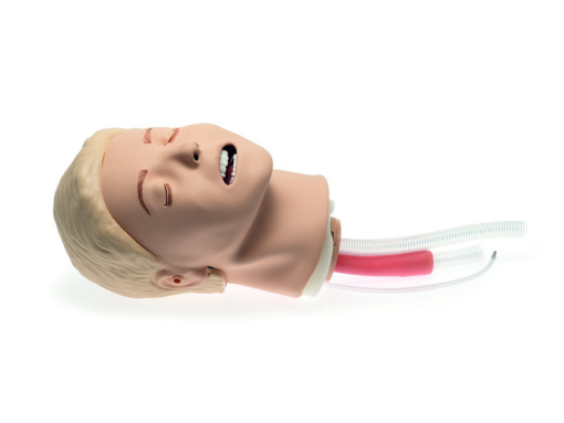 Resusci Anne Airway Trainer Update Kit