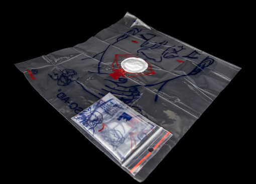 CPR Face Shield - 100/CSE
