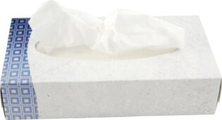 Papier mouchoir 2plis 19 x 21cm 100/bte - 36btes/CA
